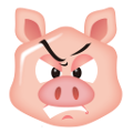 angry Pig
